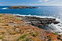 187 Kangaroo Island, flinders chase NP